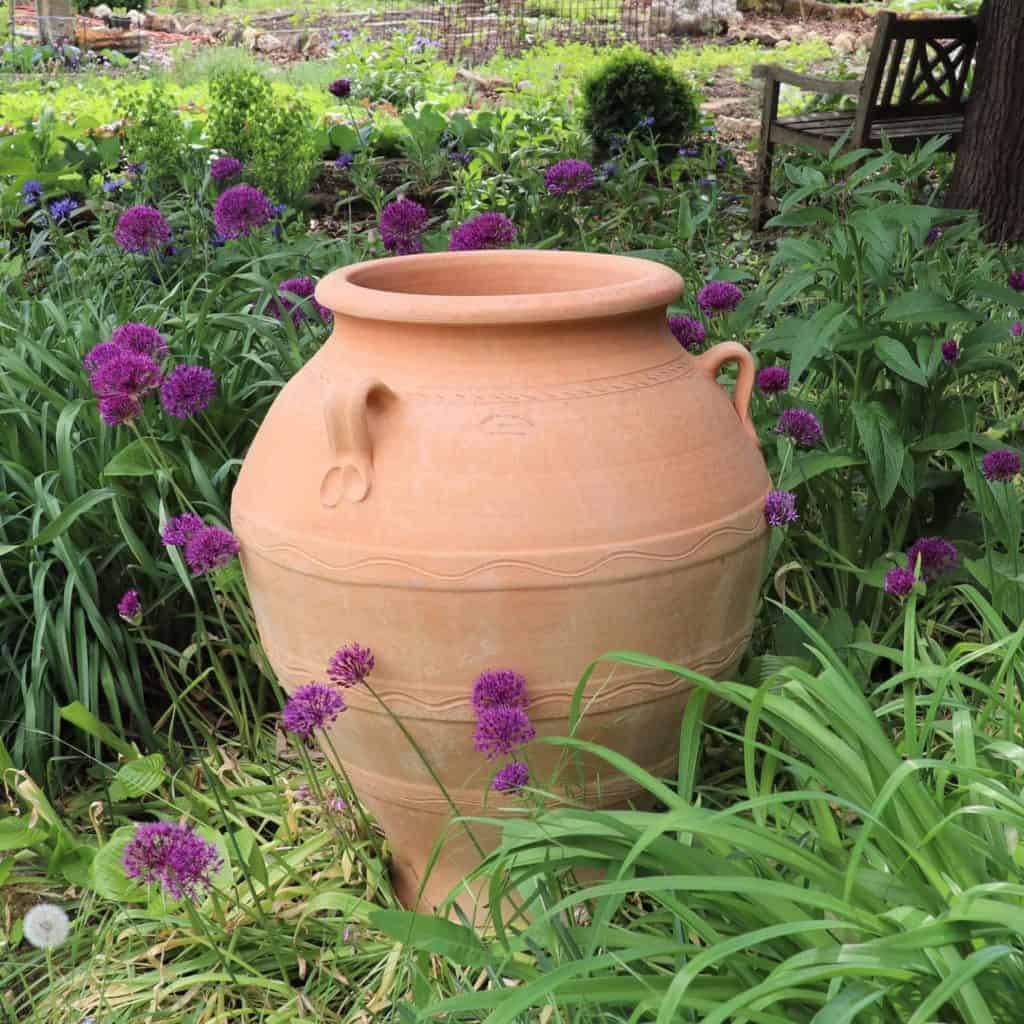 Eine große winterfeste Dekorationsamphore „Cassia“, H=70 cm, aus Terrakotta steht inmitten von leuchtend grünem Laub und Büscheln violetter Cassia-Blüten in einer üppigen Gartenumgebung. Ihre Präsenz harmoniert mit den Gartenbänken und verschiedenen Pflanzen im Hintergrund und schafft eine ruhige und natürliche Außenumgebung.