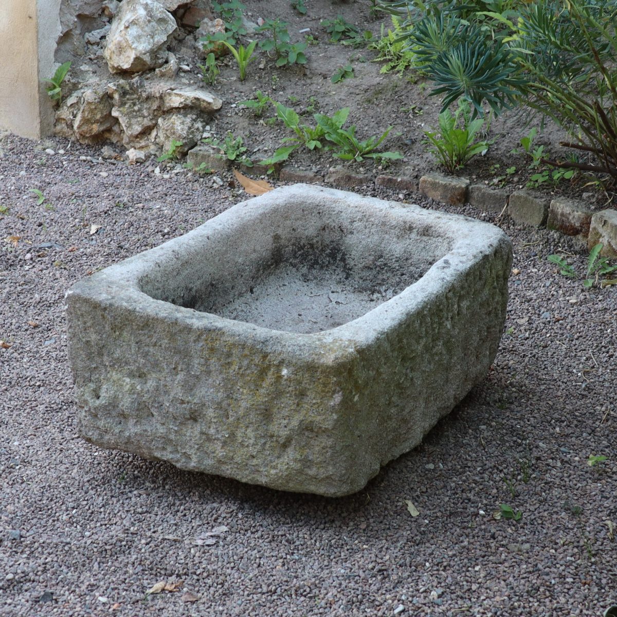 Ein grob behauener nostalgischer Pflanzkübel aus Sandstein (70 x 50 x 30 cm) steht auf einer Kiesfläche in einem Garten im Freien, umgeben von Grünpflanzen und kleinen Pflanzen. Der Pflanzkübel wirkt gealtert und verwittert und fügt sich nahtlos in die natürliche Umgebung ein.