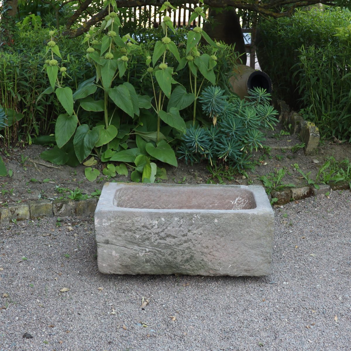 Ein altertümliches Sandsteinbecken 78 x 53 x 30 cm steht auf einem Kiesweg vor grünen Pflanzen und Laub. Der Trog wirkt gealtert mit einer rauen Textur und verwitterten Kanten, eingebettet in eine Garten- oder Parklandschaft, umgeben von Bäumen und einem Holzzaun im Hintergrund.