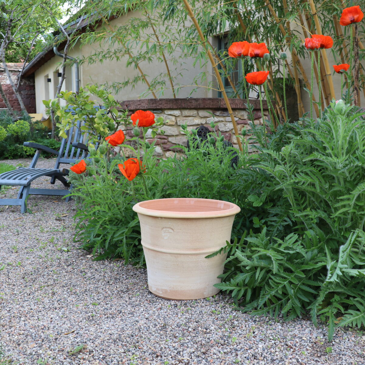 Ein frostfester Terrakotta-Blumenkübel „Yucca 2“, H=40 cm, steht inmitten üppiger grüner Blätter in einem Garten, in dessen Nähe leuchtend rote Mohnblumen blühen. Ein Steinweg führt zu einem ruhigen Sitzbereich mit Stühlen im Schatten eines Baumes, im Hintergrund steht ein rustikales Haus mit Steinmauern.